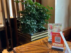 -童趣廊·儿童波波池·海洋球(长隆横琴湾酒店)
