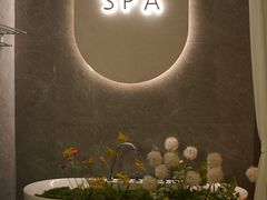 -小仙女采耳·按摩·SPA(深圳旗舰店)