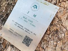 -清漾毛氏文化村