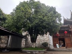 -清漾毛氏文化村