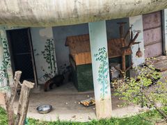 -青藏高原野生动物园
