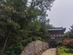 -云岗森林公园
