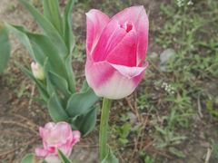 -长春公园(普阳街道)