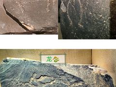 -宁夏博物馆