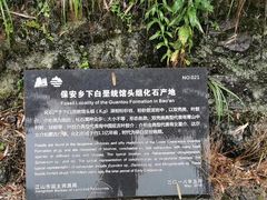 -仙霞关景区