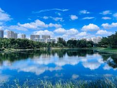 -贡湖湾湿地公园