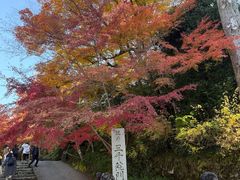 -三千院