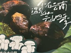 -芸山季·云南山珍菌火锅(人民广场来福士店)