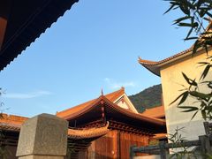 -深圳仙湖植物园