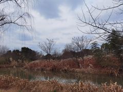 -梁鸿国家湿地公园