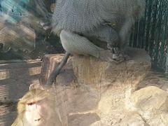 -无锡动物园·太湖欢乐园