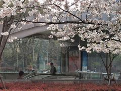 -上海体育场(地铁站)