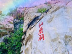 -仙蘑洞