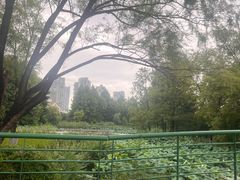 -白塘生态植物园