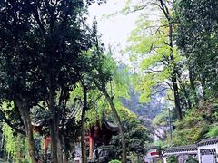 -南山植物园