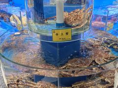 -新海渔港·胶东海鲜家常菜·家宴(奥体中心店)