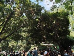 -成都市活水公园