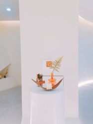 -VE专注问题肌·赛诺龙&科学美肤中心