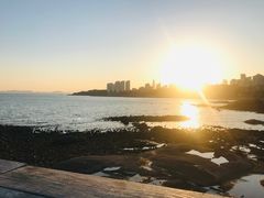 -九层海鲜塔(市南店)