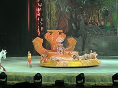 -珠海横琴长隆《卡卡虎奇遇记》