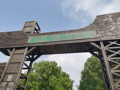 -溱湖国家湿地公园