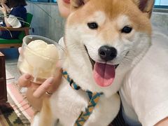 冰淇淋咖啡-山下C5cafe(惠通时代广场店)