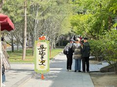 -大慈恩寺(大雁塔)