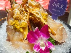 -海月轩海鲜豆捞(紫金塔店)