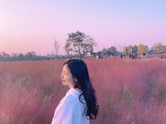 -汉长安城未央宫国家考古遗址公园