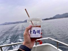 -千岛湖东南湖区