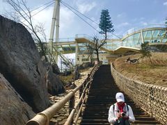 -天屿湖