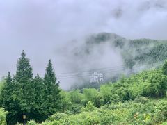 -江南天池