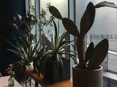 景观位-半山腰·云南菜(侨福芳草地店)