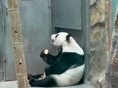 -青藏高原野生动物园