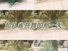 -北宫国家森林公园