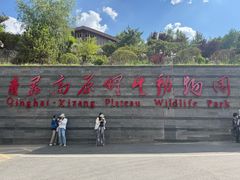 -青藏高原野生动物园
