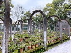 -南山植物园