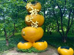 -西溪国家湿地公园