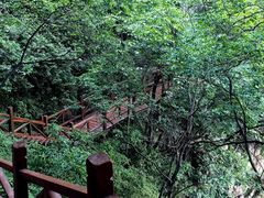 -大岭沟猕猴桃谷风景区