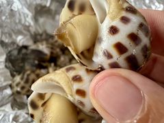 -岛中岛·海鲜大排档·万宁老字号(东澳店)