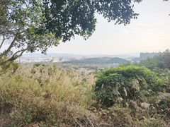 -泰康山生态旅游度假区