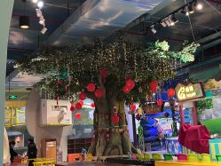 -酷嗒动物文化乐园(cutezoo西溪乐天城店)