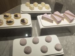 -金沙会馆