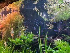 -上海海洋水族馆