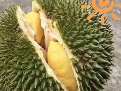 -三亚新鸿港水果一级批发市场
