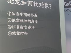 -北京周口店北京人遗址博物馆