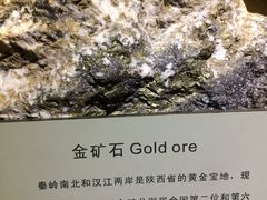 -陕西自然博物馆