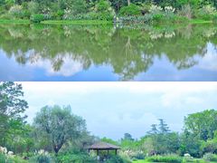 -桤木河湿地公园