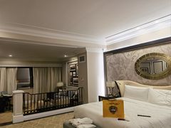 -澳门威尼斯人综合度假区