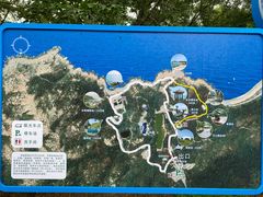 -广东惠东海龟国家级自然保护区